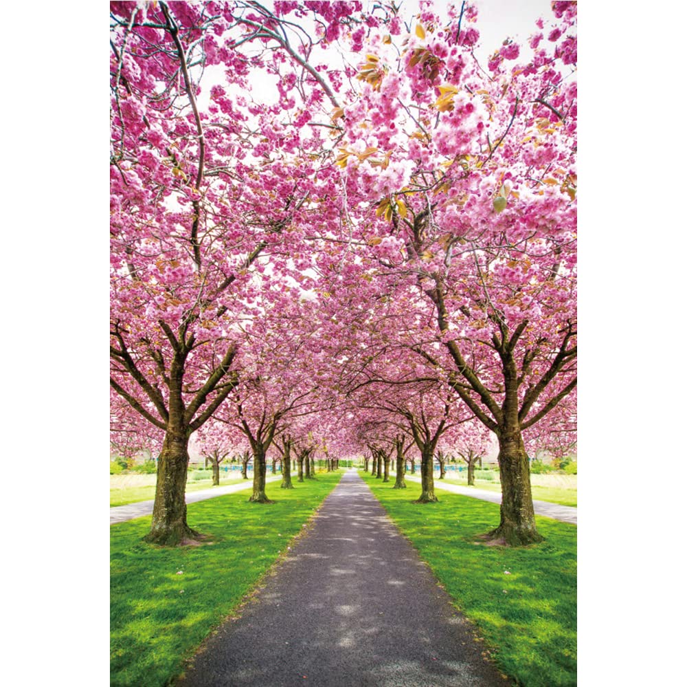 背景布【 春L 】サンプル ペット撮影用 桜、お花見、チューリップ フォトブース Amazon | Qinunipoto 背景布 桜満開 花見 1x1.5m 壁の飾り 記念